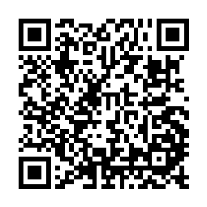 九卿圆审适用于特大案件或不服三法司审理判决的复核案件二维码生成