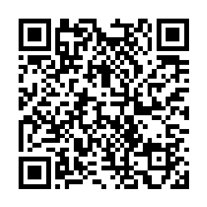 九品道器这可是连九重天境界高手都要争夺的东西二维码生成