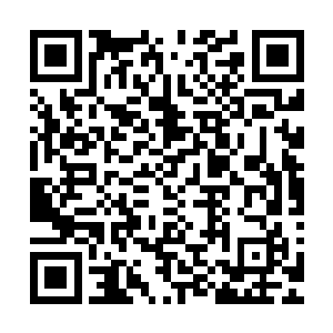 九条长长的脖子就如同九条粗大的钢鞭向着混乱凌空抽了过来二维码生成