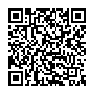 九灵尊者的心脏顿时在这猛烈爆炸下被炸为齑粉二维码生成