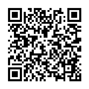 也不失后半生富贵…………他们敢随着俺去赌一场二维码生成