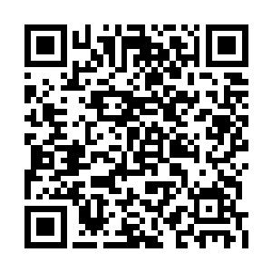 也不用打鸡血写那些很正义很热血很嘴炮的段落二维码生成