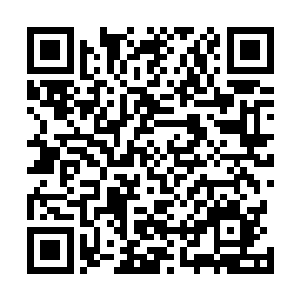 也不知道什么时候舅舅做了决定要赶在年前去宣化府看看二维码生成