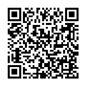 也不知道这些噬金蚁十几天没有吃东西还好不好二维码生成