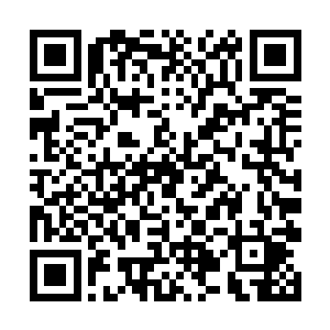 也亏得沈凡已通天藤的一层藤皮化作己身的先天灵物二维码生成