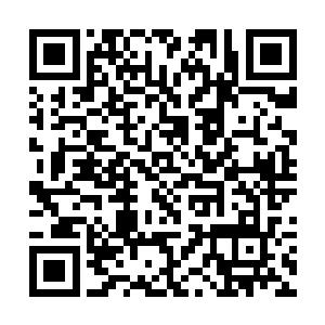 也从来没有低阶修士敢以这样的语气对高阶修士说话二维码生成