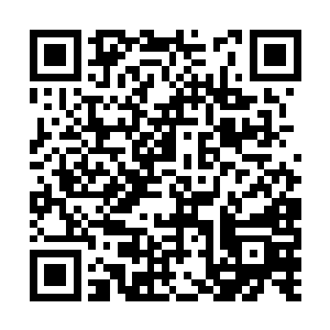 也付不起多少银两……所以……所以只好自己来了二维码生成