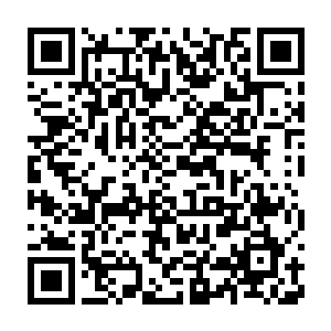 也代表着金光城一脉在怀远堂中的地位因为张铁而再也和以前不同二维码生成