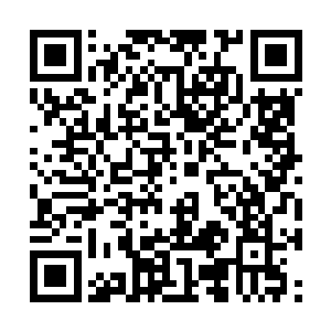 也只有他们主子那浑不吝的性格才能说出这种话来二维码生成