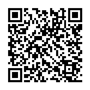 也完全可以把此前排在历史总销量排行榜上的廖辽二维码生成