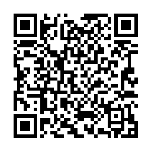 也对树林里还准备发起攻击的蛇群起了一定的震慑作用二维码生成