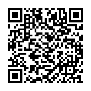 也将会为我们截教阵营提供众多的优秀新鲜血液二维码生成