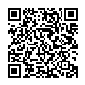 也就意味着连同其他所有场景内的法阵也尽数被破除掉了二维码生成