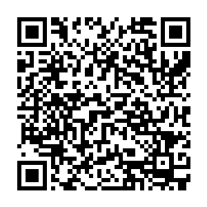 也就是从那个时候她就把那个因为打架弄的一身狼狈的人深深的记在了心里二维码生成