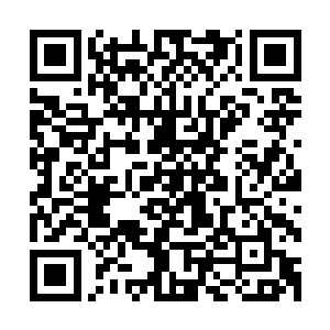 也就是现在社会的主流人群还不是现在陈易清这些人当家做主二维码生成