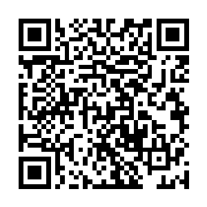 也就是说濮阳七夜身上已经融合进去了不少的恒沙本源二维码生成
