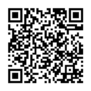 也就相当于将幽魂兽和以前它吞噬的那些精魄精血一同吸收了二维码生成