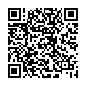 也希望能够凭着自己的阅历传授给许紫烟一些经验二维码生成