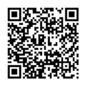 也成为太夏各地廷尉系统中最引人关注的两个名字二维码生成