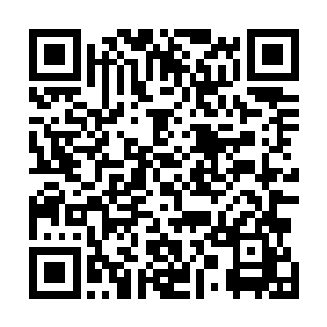 也指不定有多少人想尝尝天王那高傲的外孙女是什么滋味二维码生成