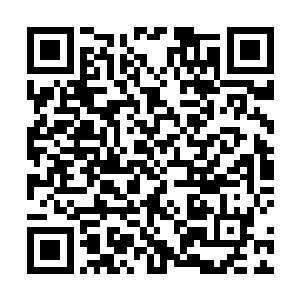 也无意逼迫贵国做出一些违反贵国陛下治国理念的事情二维码生成