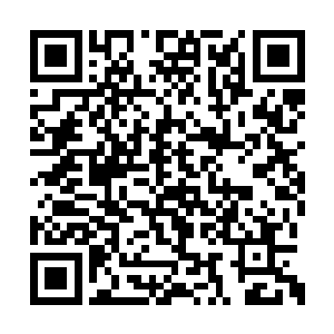 也无法仔细窥探到泥巴中的生机到底是什么东西二维码生成