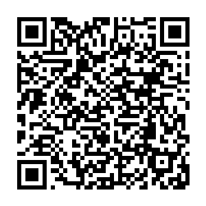 也明白虫族为什么会突然消失了原来是因为虫族已经入侵了这里修炼者的身体二维码生成