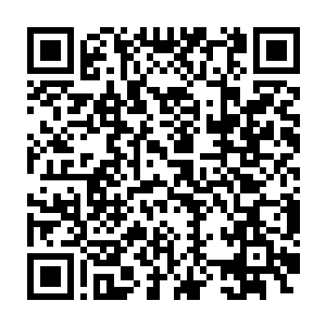 也是没有资格进入五行仙岛的……哪怕木仙岛基本上在陈家的掌控之中二维码生成
