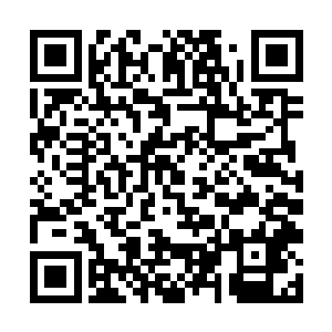 也是职业影评人市场影响力完全可以忽略不计的佐证二维码生成