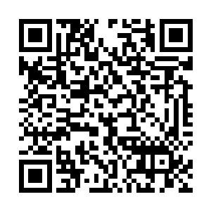 也是觉得林烽刚刚可能是一时逞强故意说认得这幅画的二维码生成