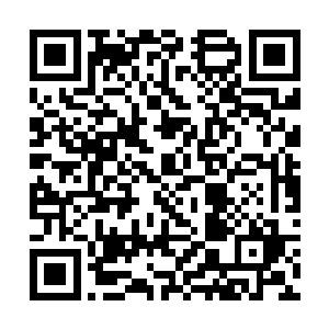 也有些激动的盯着好似一片竖着的沼泽地一般的石壁二维码生成