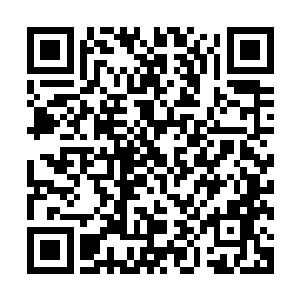 也根本破坏不了已经深埋在宝器之中的铭文符复杂的结构纹理二维码生成