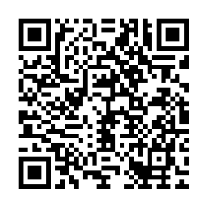 也没有那可以大幅度提升异形军团力量的异形之母基因和炼妖壶二维码生成