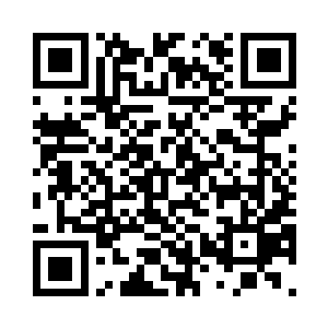 也没机会去参加这场剿灭邪派的行动二维码生成