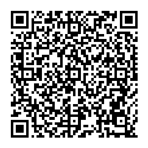 也知道让一个几乎不可能凝聚内息的人凝练出真气种子是何等艰难的……可秦方却做到了这一点二维码生成