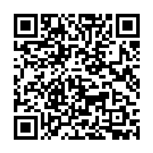 也算是安抚影月组织那死去的六十多名成员的冤魂二维码生成