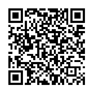 也绝不可能在短短数秒钟之内召唤来这么多的鸟类二维码生成