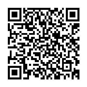也绝对会抓在手中慢慢的度化……但如今这两个办法都不现实二维码生成