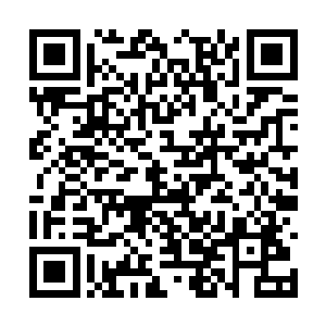 也绝无可能会在如此短的时间之内将铁熊给带回来二维码生成