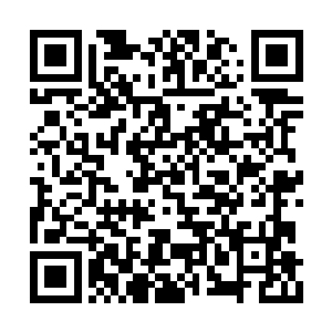 也能回去在深受中国影响的中朝边境做个富裕翁二维码生成