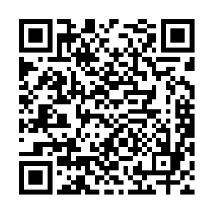 也让他们明白了赵县长也确实是想为大家干点事儿二维码生成