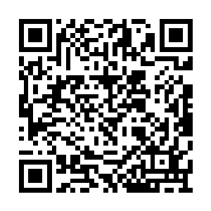 也记得张潇晗从来没有和无极宗斤斤计较过报酬二维码生成