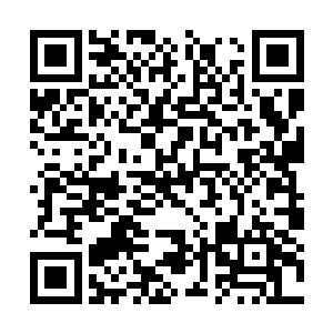 也许你们都是对的吧圣城是许多年没有新鲜血液了二维码生成