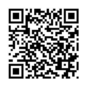 也许未来我就会成为净林宗的掌门二维码生成