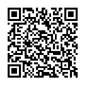 也许那一片山脉里面就隐藏了大批的炼丹材料呢二维码生成