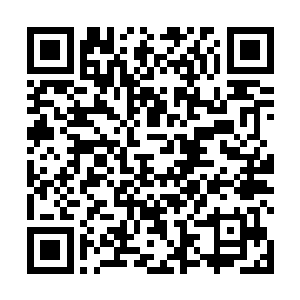 也许那些她从望魂台引到黄泉道的灵体并没有下到地府二维码生成