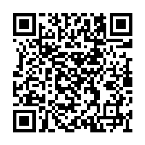 也都是用披风把她裹成只有头露在外面的猫布茧二维码生成