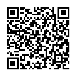 也隐隐约约看到远处似乎有什么朦胧巨物正慢慢接近这边二维码生成