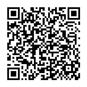 也非常之狂暴……那可怕的拳劲可以轻易的撕裂任何大宗师级高手的护身罡气二维码生成
