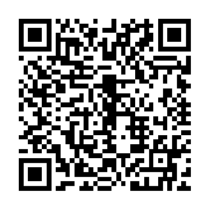 争取在常家背后势力真准备支持常家之前将常家打压的无法翻身二维码生成
